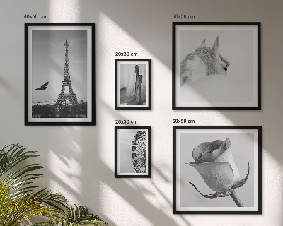 Tableau de décoration murale Images élégantes en noir et blanc