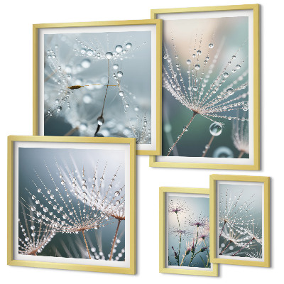 Ensemble de 5 tableaux Plantes minimalistes en forme de gouttes de rosée