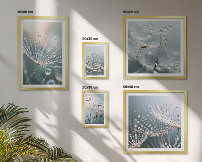 Ensemble de 5 tableaux Plantes minimalistes en forme de gouttes de rosée