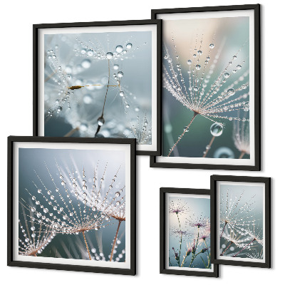 Ensemble de 5 tableaux Plantes minimalistes en forme de gouttes de rosée