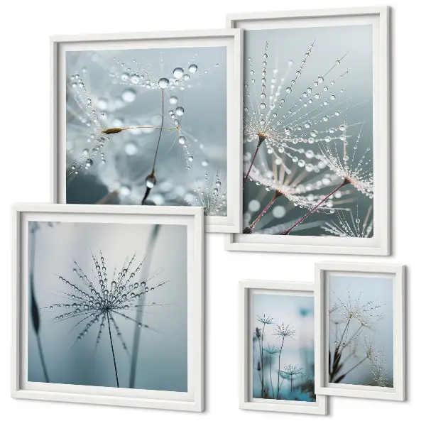 Lot de tableaux encadrés représentant des gouttes d'eau sur les plantes