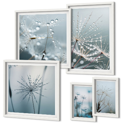 Lot de tableaux encadrés Gouttes d'eau sur les plantes