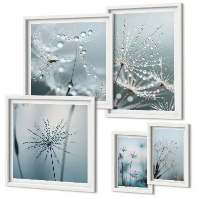Lot de tableaux encadrés représentant des gouttes d'eau sur les plantes
