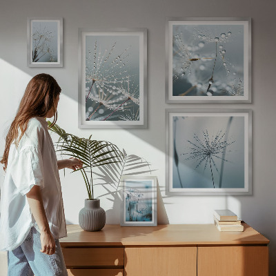 Lot de tableaux encadrés Gouttes d'eau sur les plantes