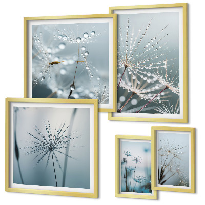 Lot de tableaux encadrés Gouttes d'eau sur les plantes