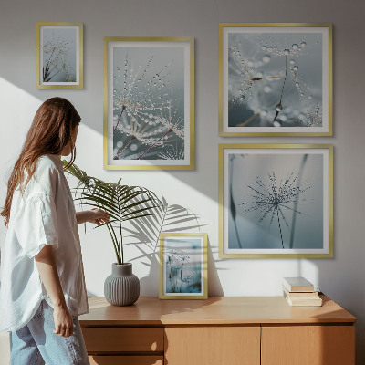 Lot de tableaux encadrés Gouttes d'eau sur les plantes