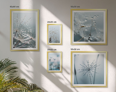 Lot de tableaux encadrés Gouttes d'eau sur les plantes