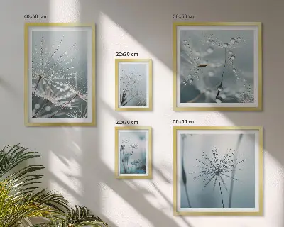 Lot de tableaux encadrés représentant des gouttes d'eau sur les plantes
