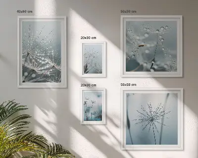 Lot de tableaux encadrés représentant des gouttes d'eau sur les plantes