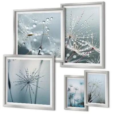 Lot de tableaux encadrés représentant des gouttes d'eau sur les plantes