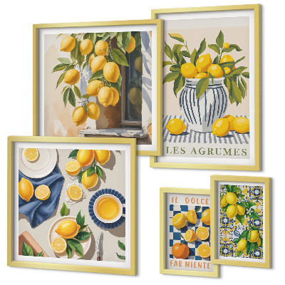 Ensemble de 5 tableaux Décorations d'agrumes provençales