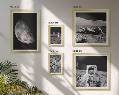 Lot de tableaux encadrés Les paysages lunaires des astronautes