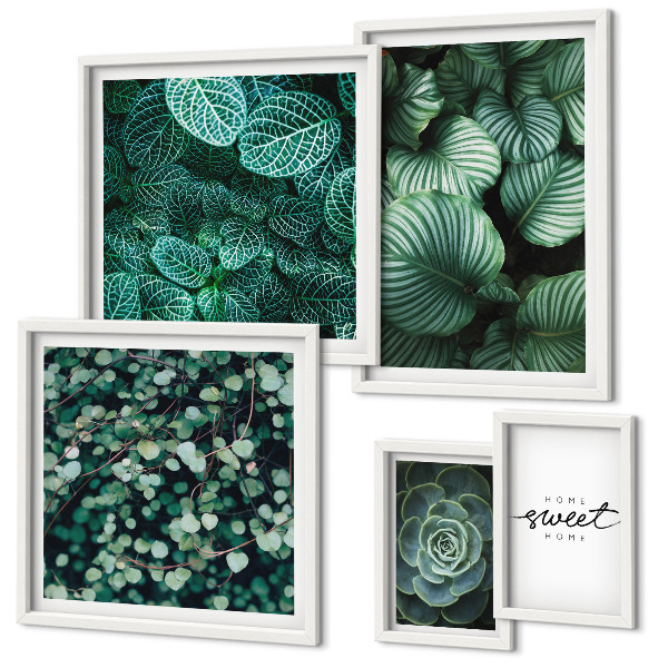Lot de tableaux encadrés Plantes modernes à feuilles vertes
