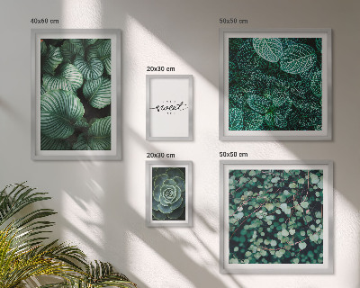 Lot de tableaux encadrés Plantes modernes à feuilles vertes