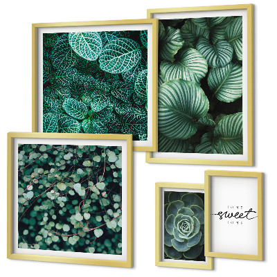Lot de tableaux encadrés Plantes modernes à feuilles vertes