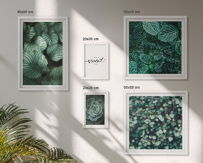 Lot de tableaux encadrés Plantes modernes à feuilles vertes