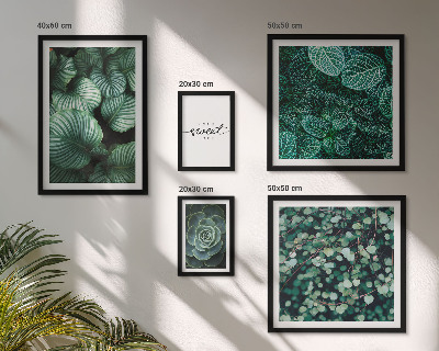 Lot de tableaux encadrés Plantes modernes à feuilles vertes