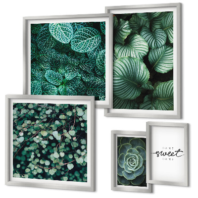 Lot de tableaux encadrés Plantes modernes à feuilles vertes