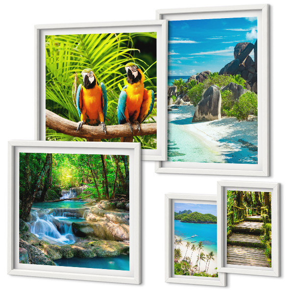 Tableau de décoration murale Paysages tropicaux, oiseaux, cascades