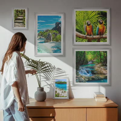 Tableau de décoration murale Paysages tropicaux, oiseaux, cascades