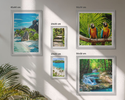 Tableau de décoration murale Paysages tropicaux, oiseaux, cascades