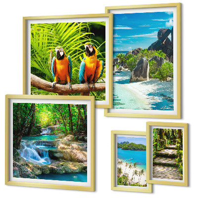 Tableau de décoration murale Paysages tropicaux, oiseaux, cascades
