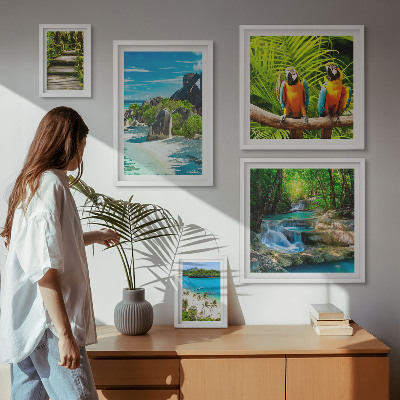 Tableau de décoration murale Paysages tropicaux, oiseaux, cascades