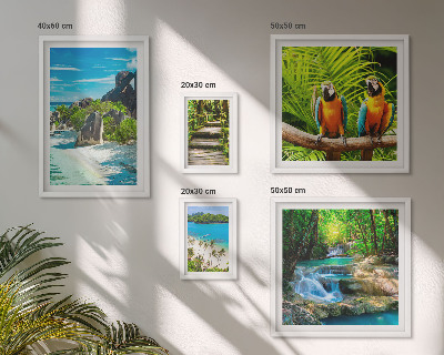 Tableau de décoration murale Paysages tropicaux, oiseaux, cascades