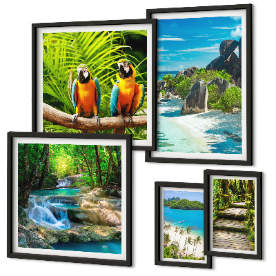 Tableau de décoration murale Paysages tropicaux, oiseaux, cascades