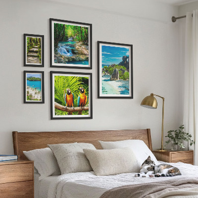 Tableau de décoration murale Paysages tropicaux, oiseaux, cascades