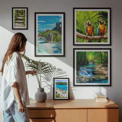 Tableau de décoration murale Paysages tropicaux, oiseaux, cascades