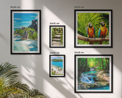 Tableau de décoration murale Paysages tropicaux, oiseaux, cascades