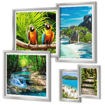 Tableau de décoration murale Paysages tropicaux, oiseaux, cascades