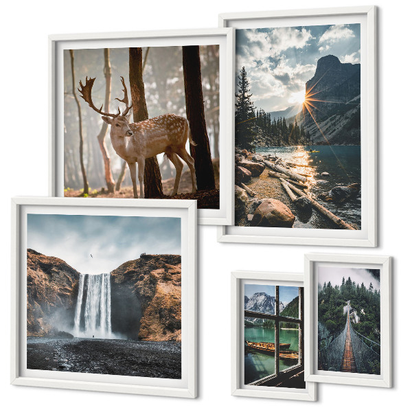 Tableau de décoration murale Paysages, nature, cascades, faune