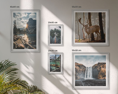 Tableau de décoration murale Paysages, nature, cascades, faune