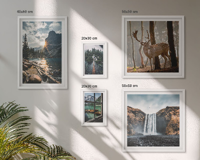 Tableau de décoration murale Paysages, nature, cascades, faune
