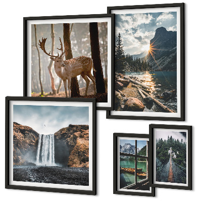 Tableau de décoration murale Paysages, nature, cascades, faune