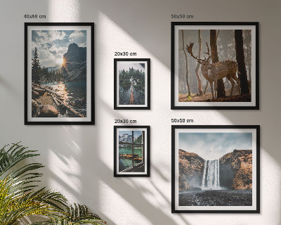 Tableau de décoration murale Paysages, nature, cascades, faune