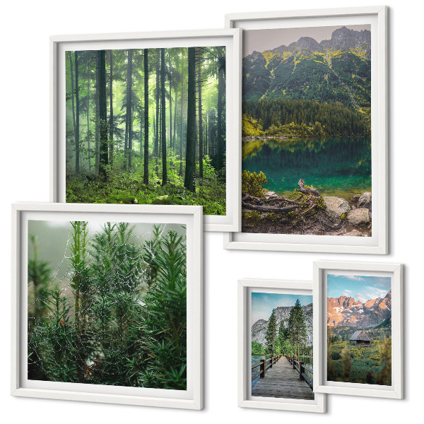 Lot de tableaux encadrés Paysages de montagne et forêts