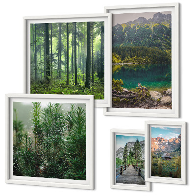 Lot de tableaux encadrés Paysages de montagne et forêts