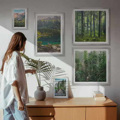 Lot de tableaux encadrés Paysages de montagne et forêts