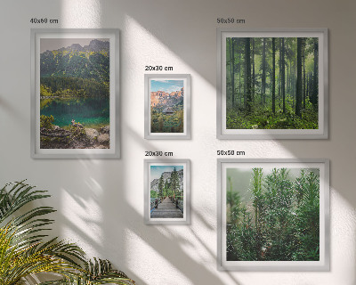 Lot de tableaux encadrés Paysages de montagne et forêts
