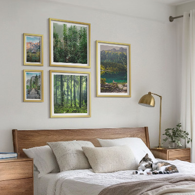 Lot de tableaux encadrés Paysages de montagne et forêts