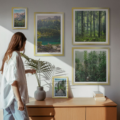 Lot de tableaux encadrés Paysages de montagne et forêts