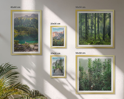 Lot de tableaux encadrés Paysages de montagne et forêts
