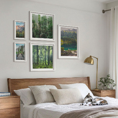 Lot de tableaux encadrés Paysages de montagne et forêts