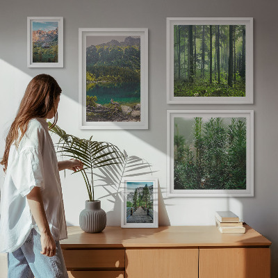 Lot de tableaux encadrés Paysages de montagne et forêts