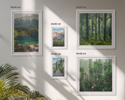 Lot de tableaux encadrés Paysages de montagne et forêts