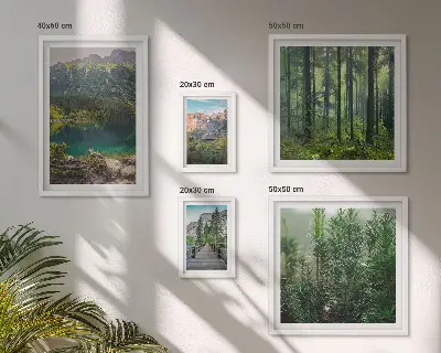 Lot de tableaux encadrés sur le thème des paysages de montagne et forêts