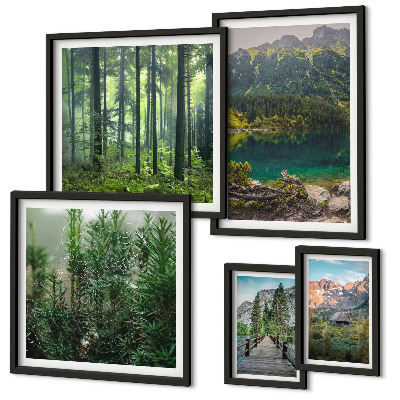 Lot de tableaux encadrés Paysages de montagne et forêts